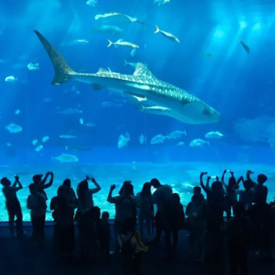 水族館