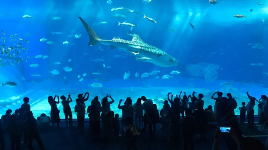 水族館